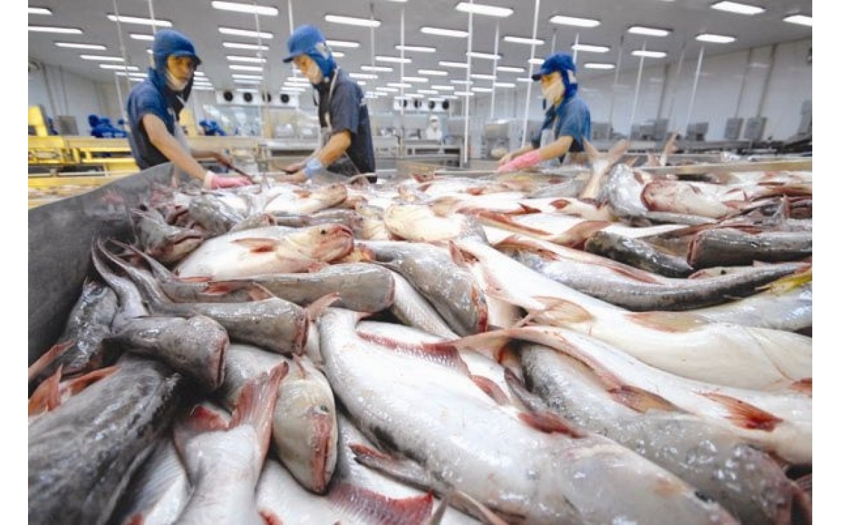Đẩy mạnh tiêu thụ nội địa các sản phẩm cá tra